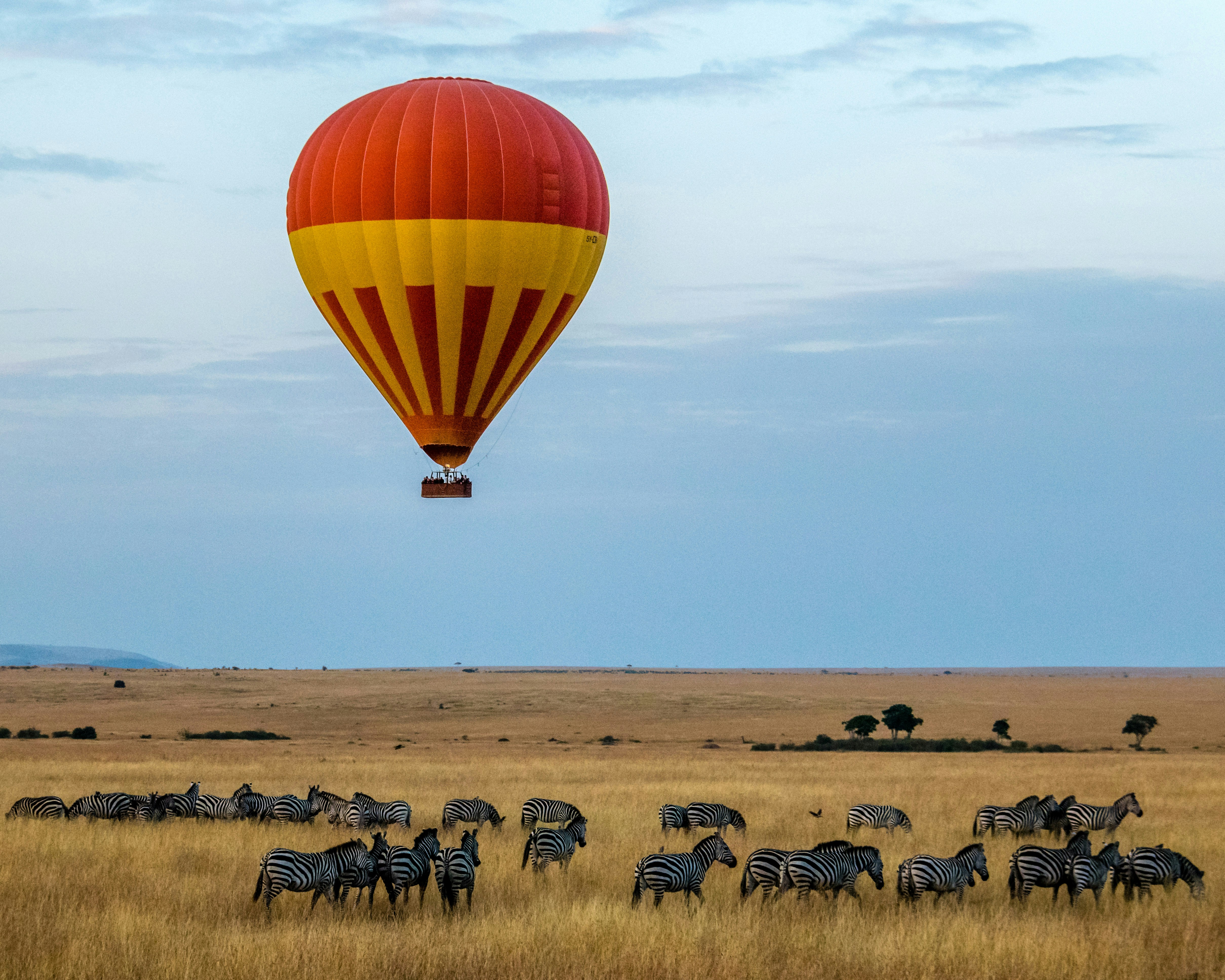 Tsavo Elephants